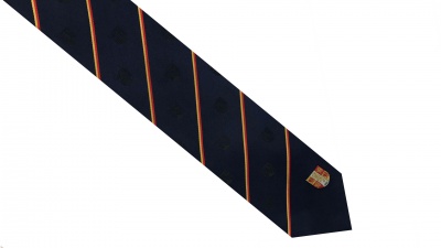 Silk Tie